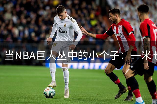 当NBA巨人丛中的小个子：一米七传奇与一米八三之星